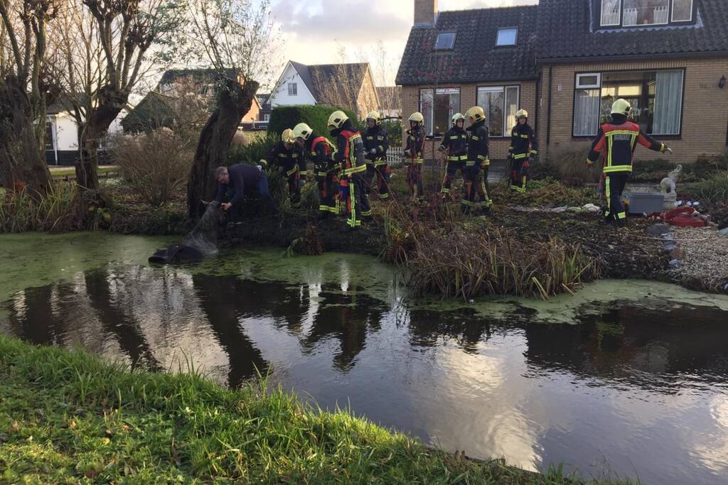 Twee personen en paard te water geraakt