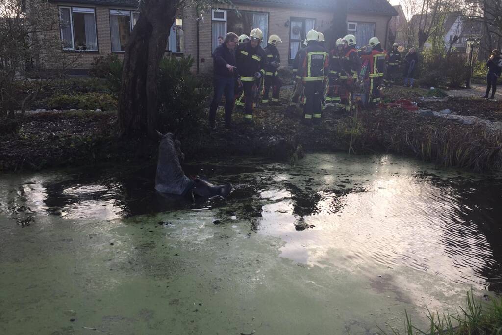 Twee personen en paard te water geraakt