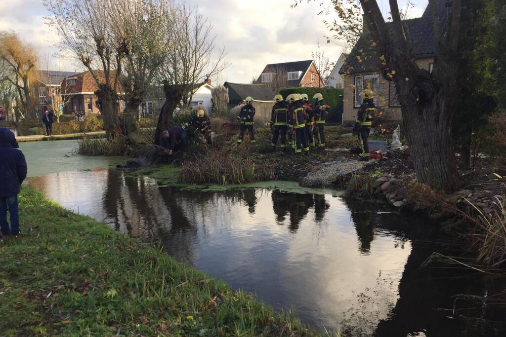 Twee personen en paard te water geraakt