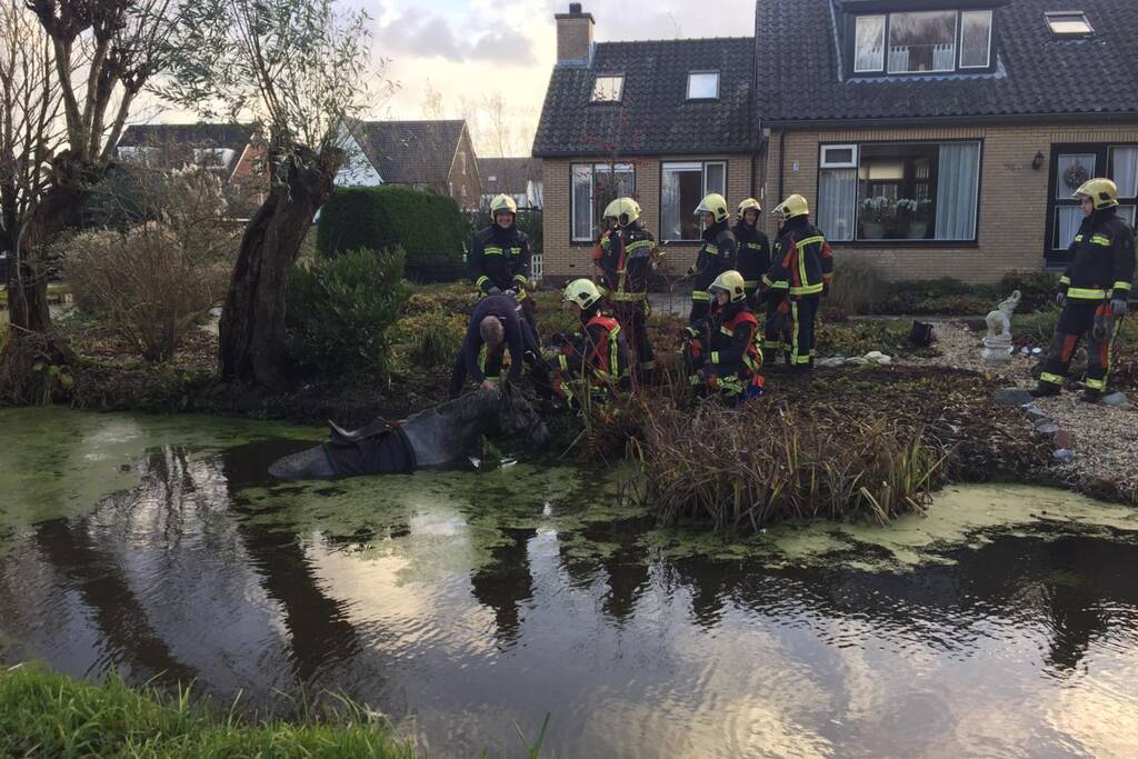 Twee personen en paard te water geraakt