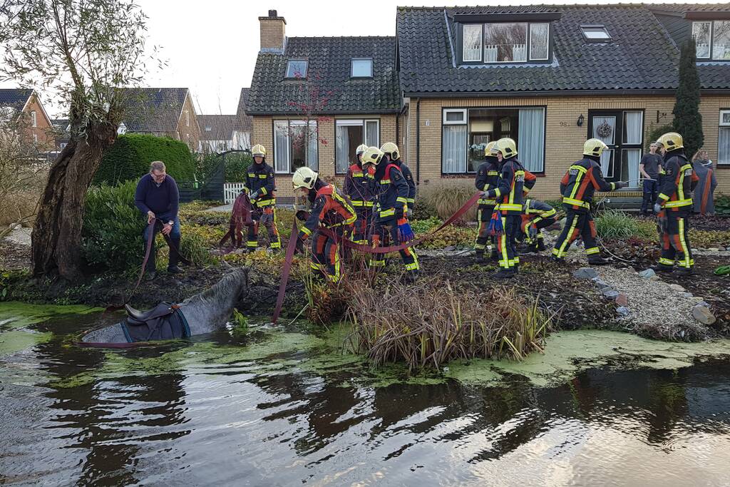 Twee personen en paard te water geraakt