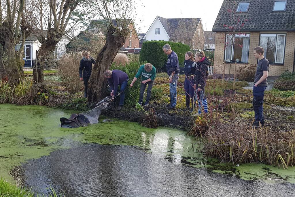 Twee personen en paard te water geraakt