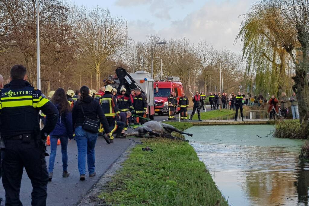 Twee personen en paard te water geraakt