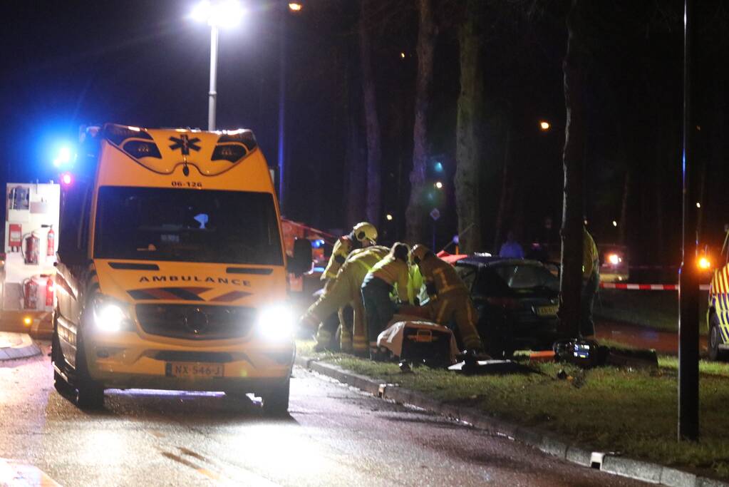Zwaargewonde na botsing tegen boom