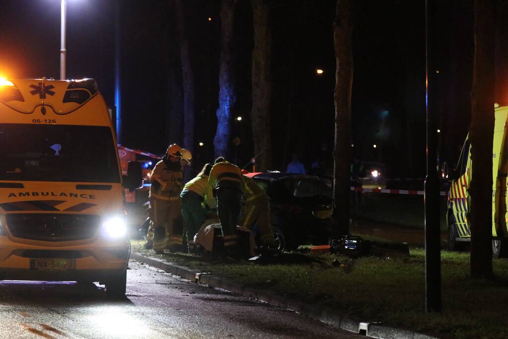 Zwaargewonde na botsing tegen boom