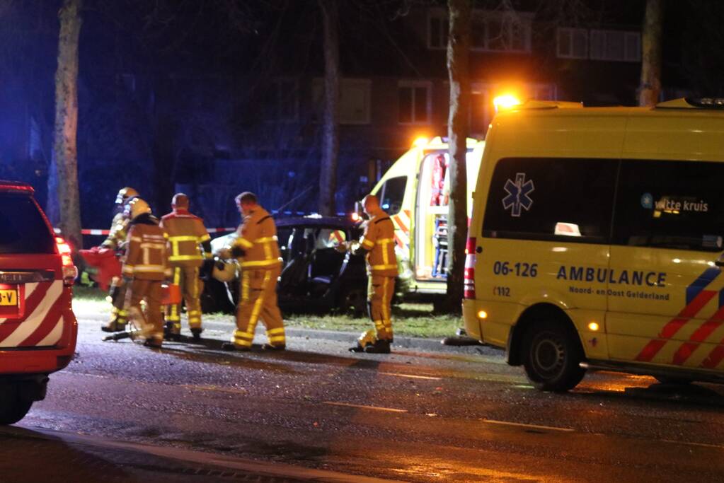 Zwaargewonde na botsing tegen boom