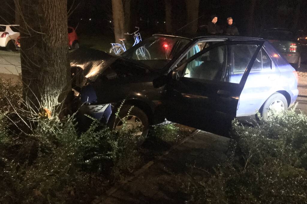 Flinke schade na botsing tegen boom