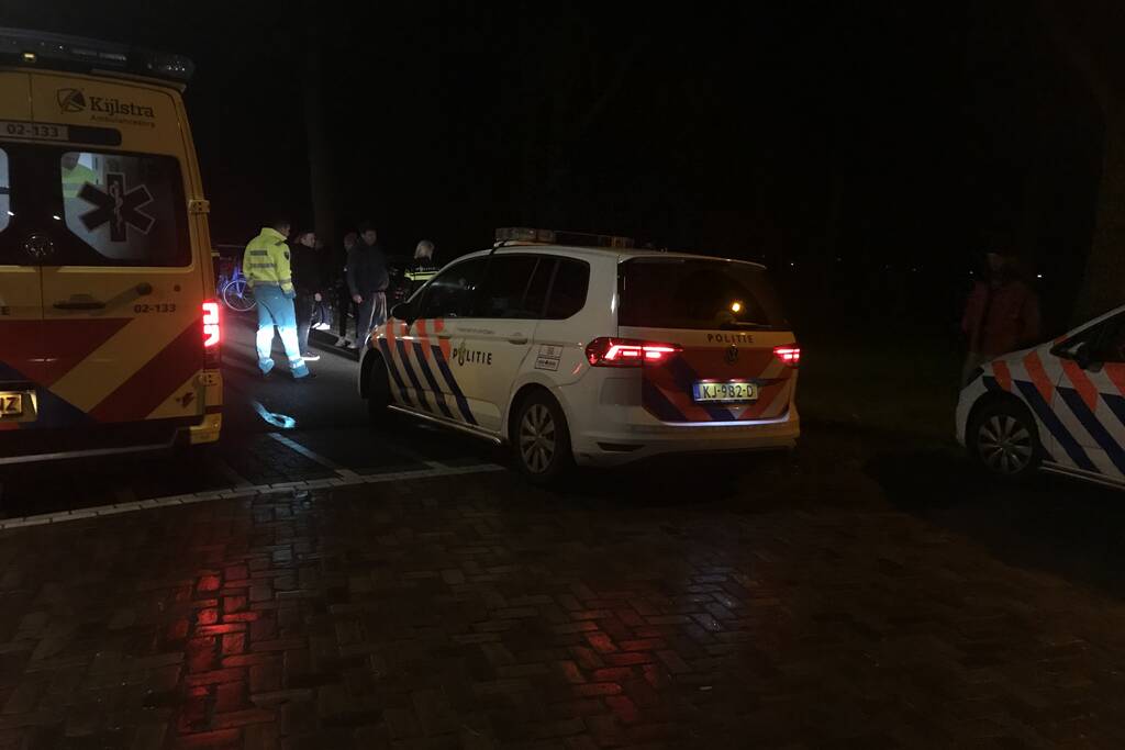 Flinke schade na botsing tegen boom