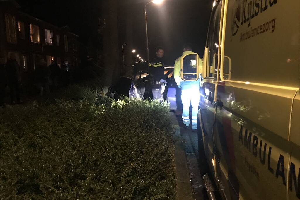 Flinke schade na botsing tegen boom