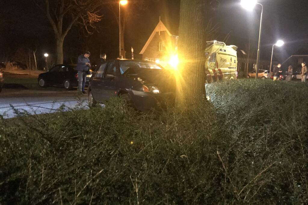 Flinke schade na botsing tegen boom