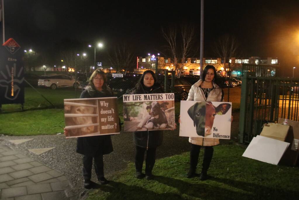 Kleine demonstratie bij Kalfsvleesverwerker Ekro