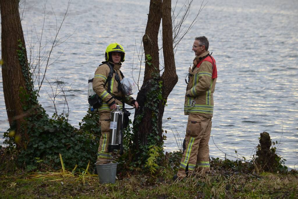 Wilgenboom vliegt in brand Prinses Beatrixplantsoen