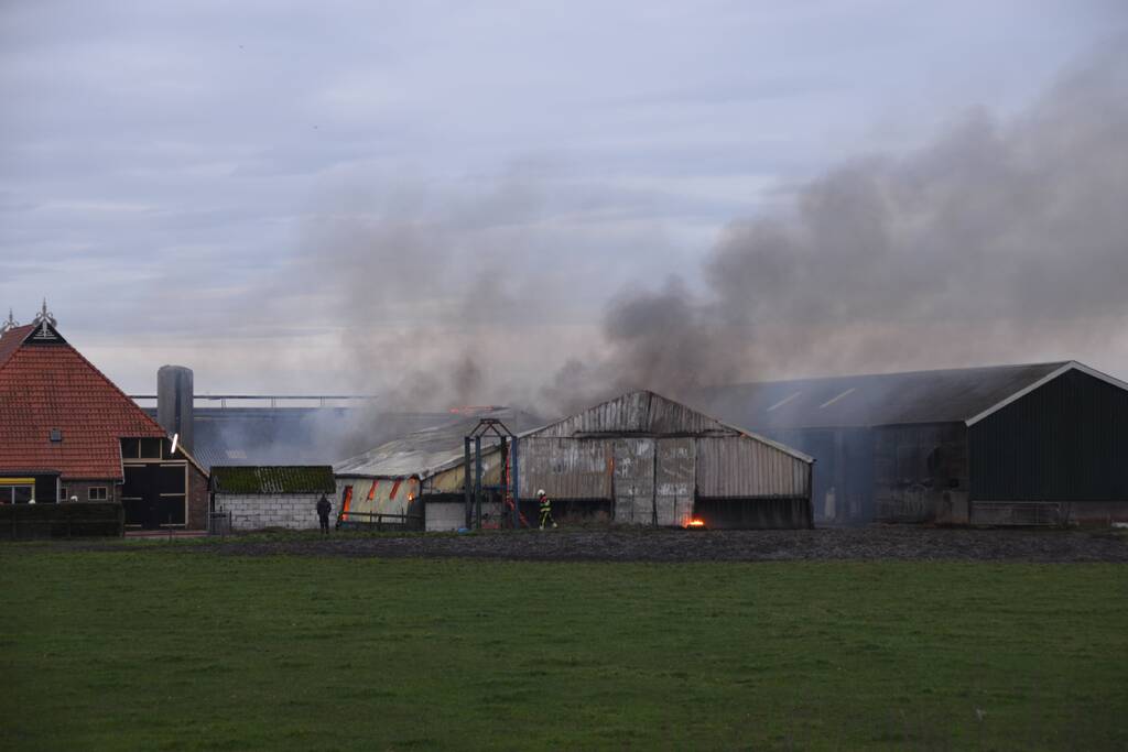 Koeienstal brandt af; 20 koeien dood