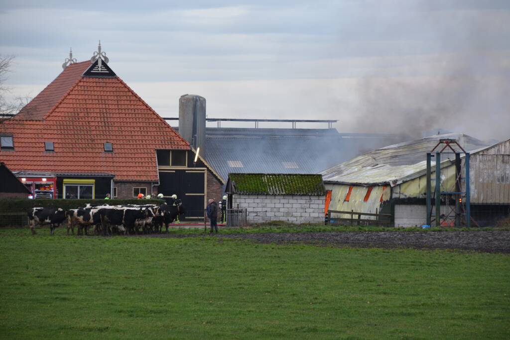 Koeienstal brandt af; 20 koeien dood