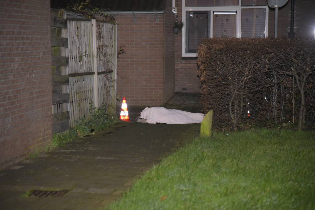 Vechtpartij mondt uit in dodelijke steekpartij