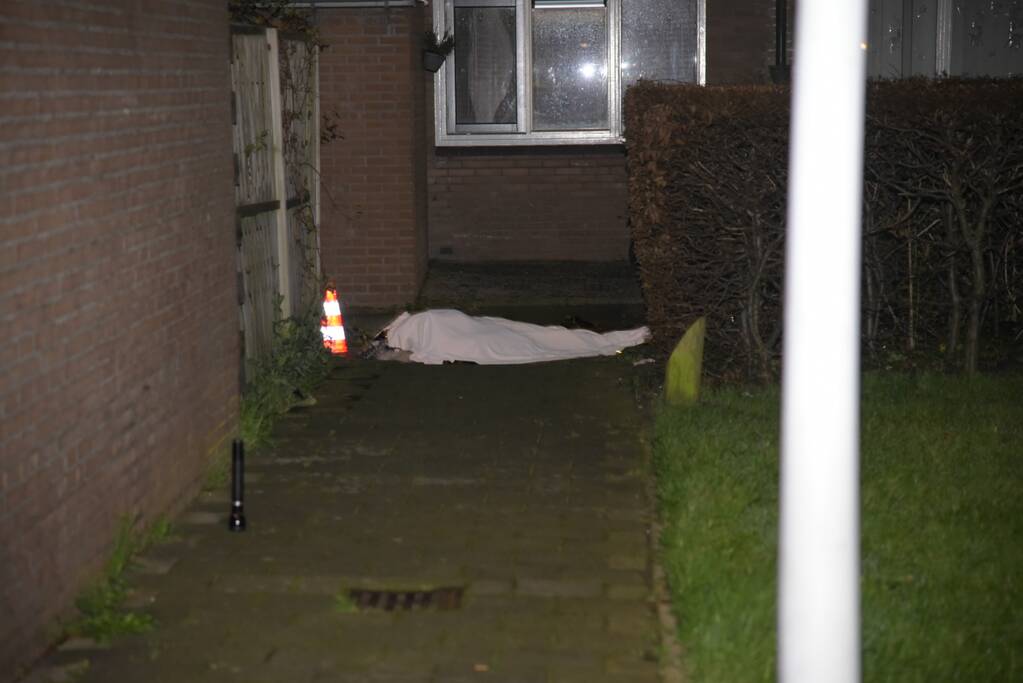 Vechtpartij mondt uit in dodelijke steekpartij