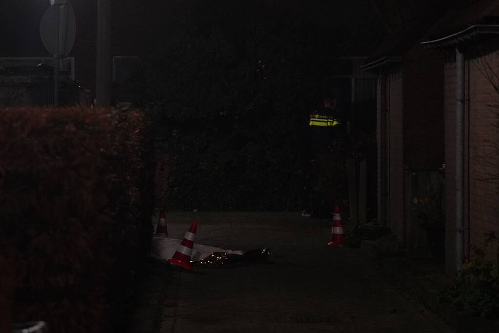 Vechtpartij mondt uit in dodelijke steekpartij