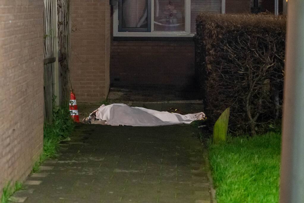 Vechtpartij mondt uit in dodelijke steekpartij