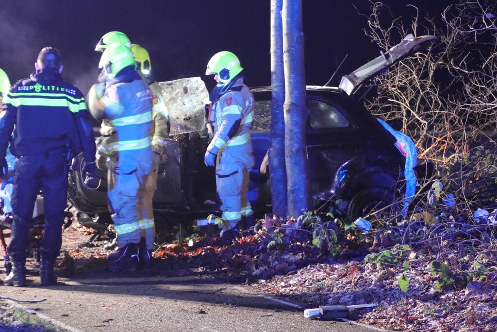 Zwaargewonde na eenzijdige botsing tegen boom