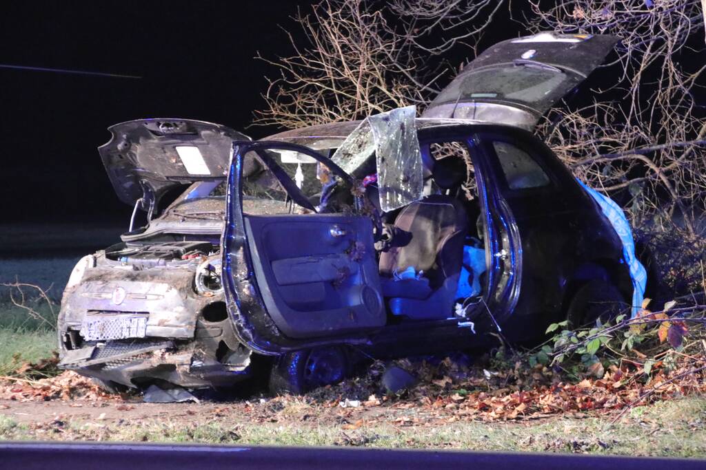 Zwaargewonde na eenzijdige botsing tegen boom