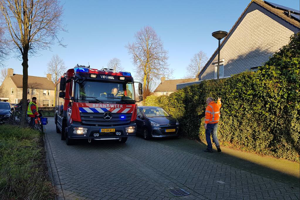 Coniferenhaag vat vlam door vuurwerk