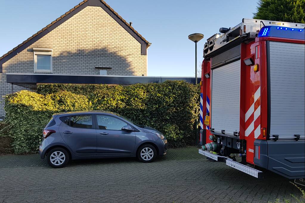 Coniferenhaag vat vlam door vuurwerk