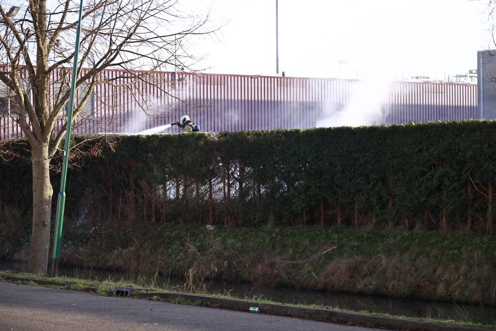 Dikke rookwolken door brand in coniferenhaag