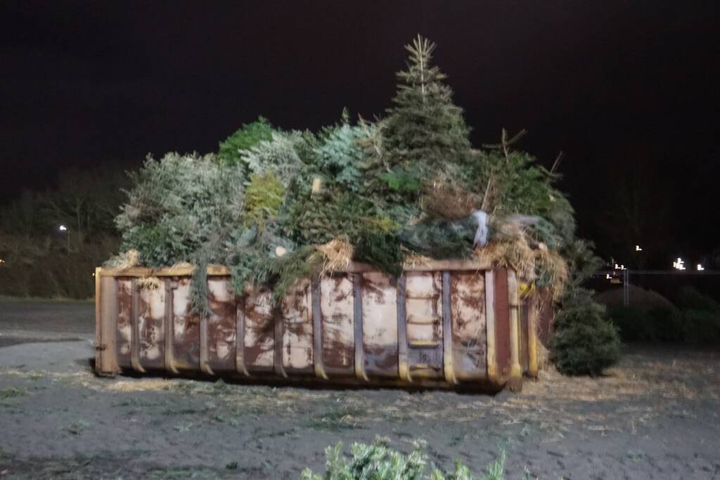Veel bekijks bij kerstboom verbranding