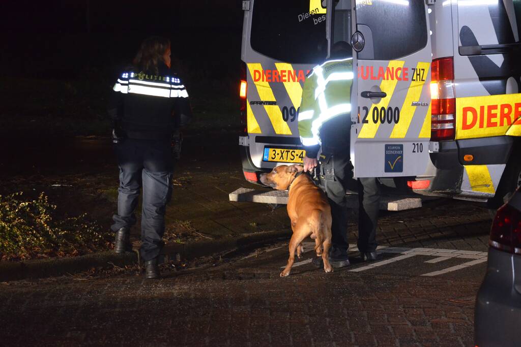 Man van balkon gehaald en aangehouden
