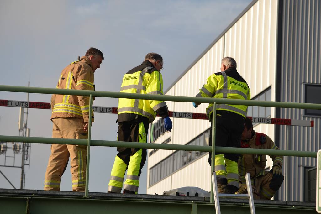 Zwaan vast tussen betonblokken RandstadRail
