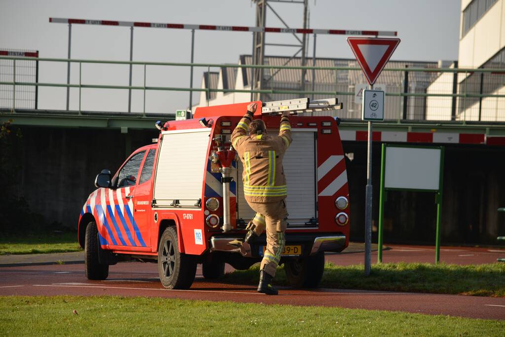 Zwaan vast tussen betonblokken RandstadRail