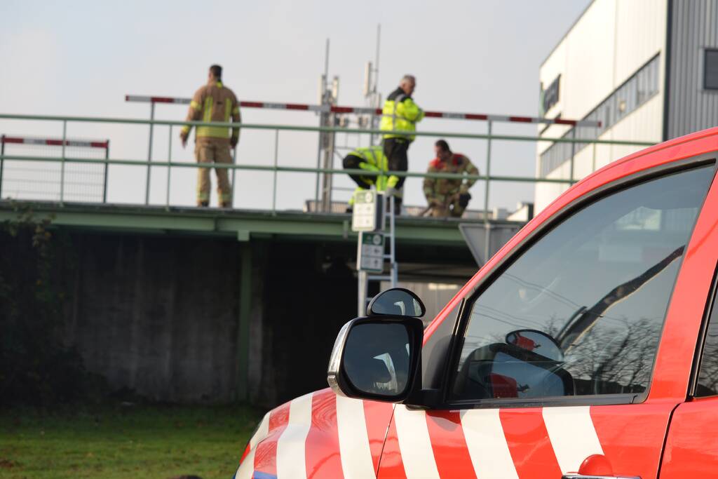 Zwaan vast tussen betonblokken RandstadRail