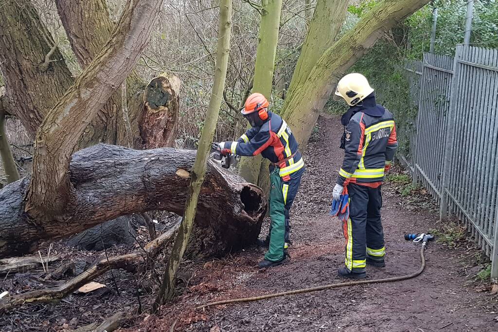Boom in stukken gezaagd om de kunnen blussen