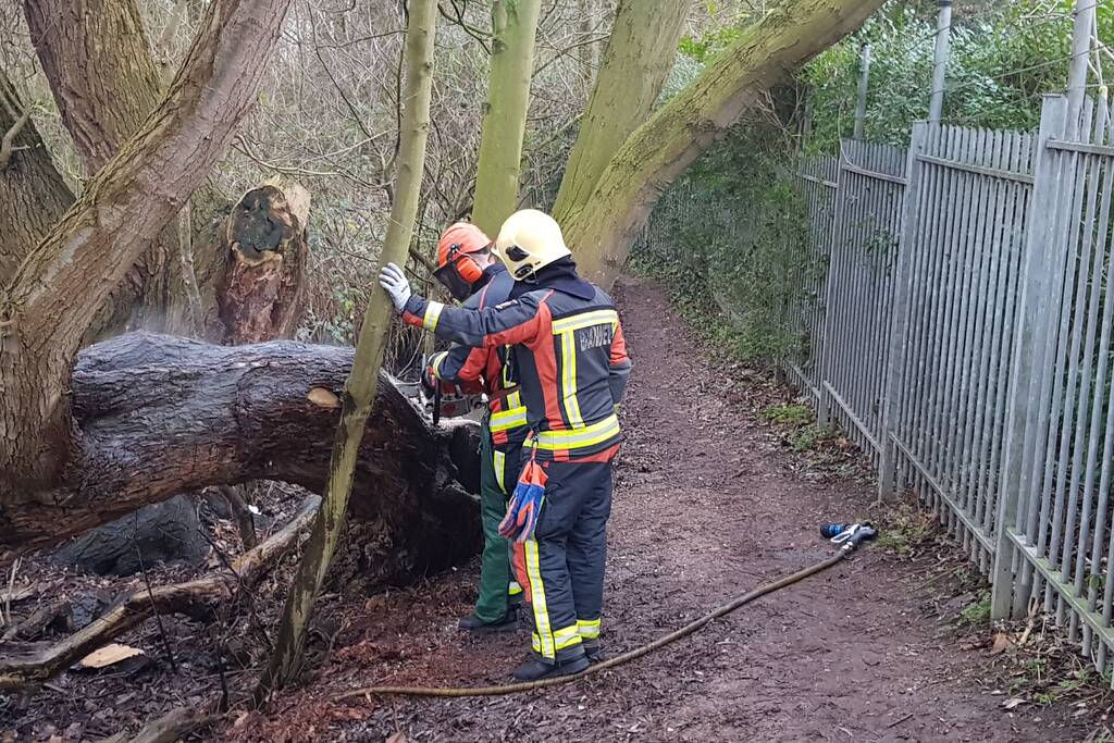 Boom in stukken gezaagd om de kunnen blussen