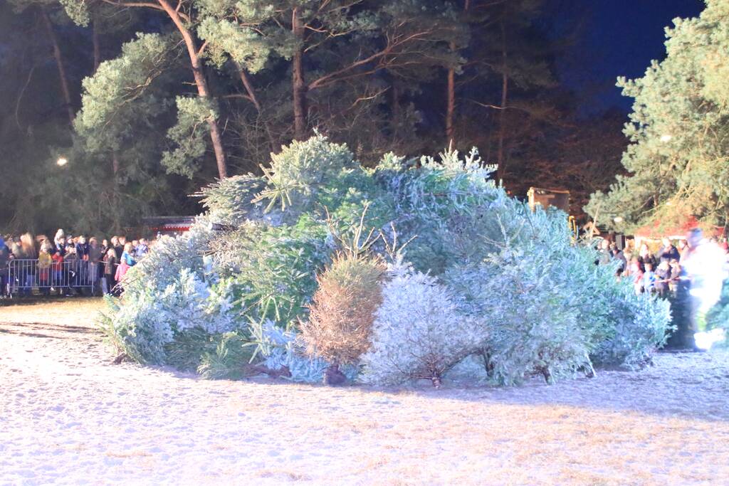 Jaarlijkse kerstboomverbranding druk bezocht