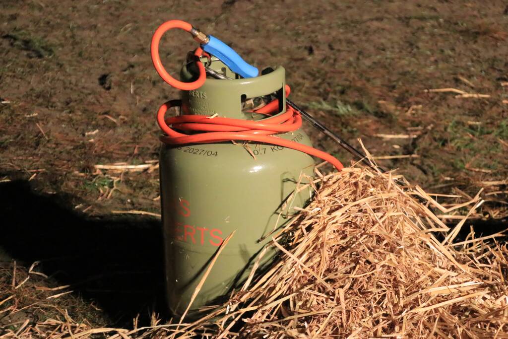 Jaarlijkse kerstboomverbranding druk bezocht