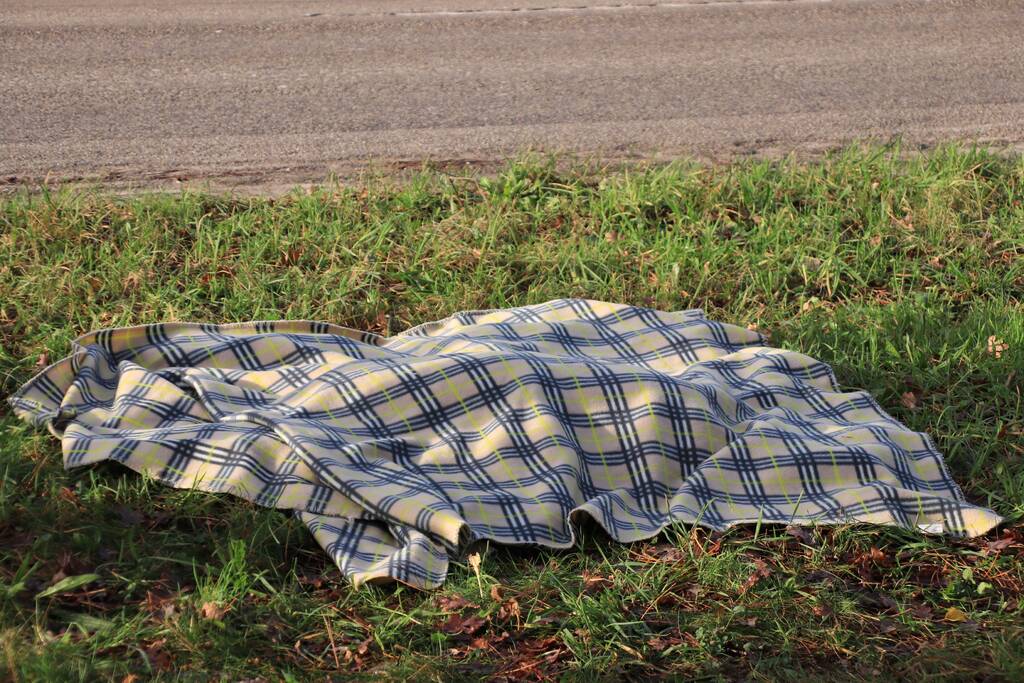 Ree kort na aanrijding overleden