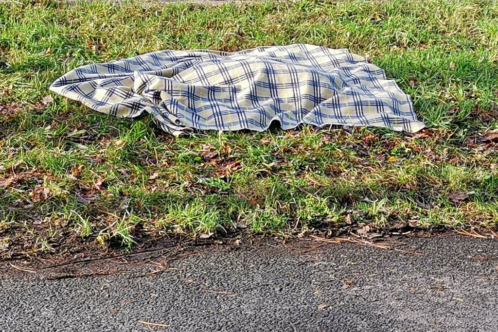 Ree kort na aanrijding overleden