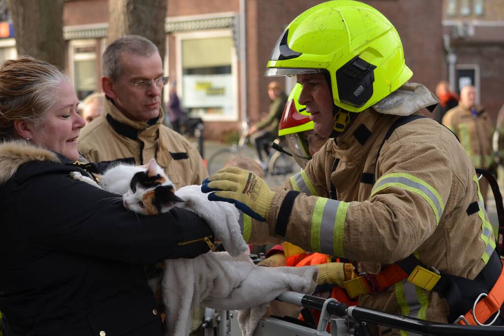Brandweer redt kat uit dakgoot