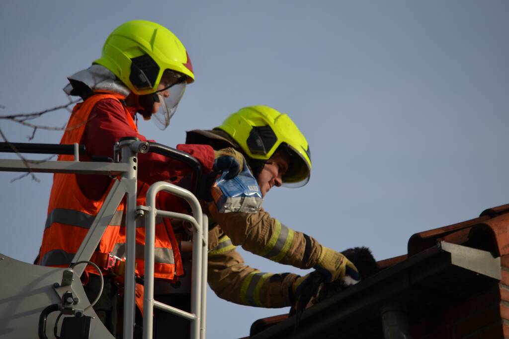 Brandweer redt kat uit dakgoot
