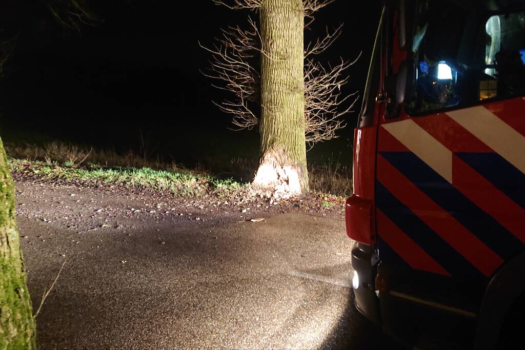 Persoon ernstig gewond na aanrijding met meerdere bomen