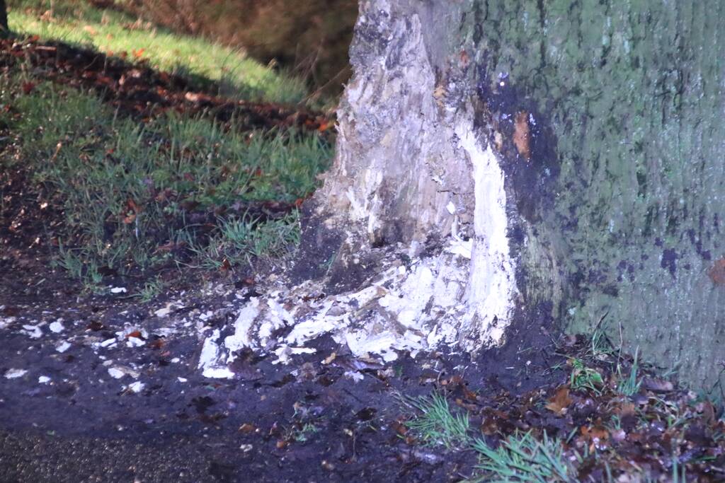 Persoon ernstig gewond na aanrijding met meerdere bomen