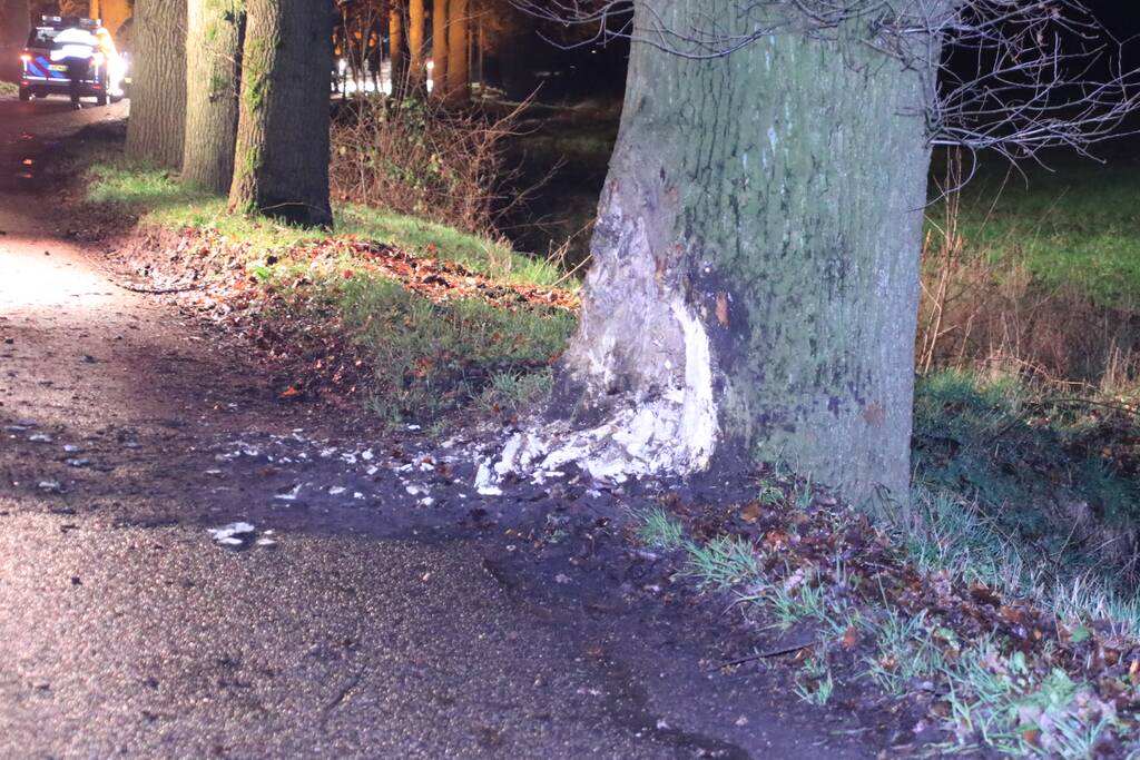 Persoon ernstig gewond na aanrijding met meerdere bomen