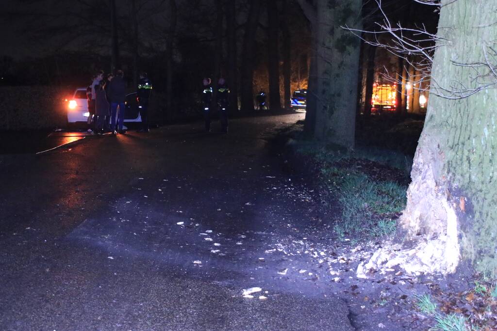Persoon ernstig gewond na aanrijding met meerdere bomen