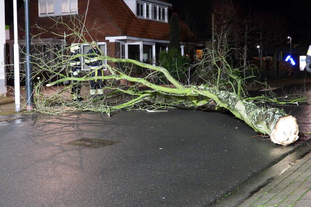 Omgewaaide boom valt op kabels met verlichting
