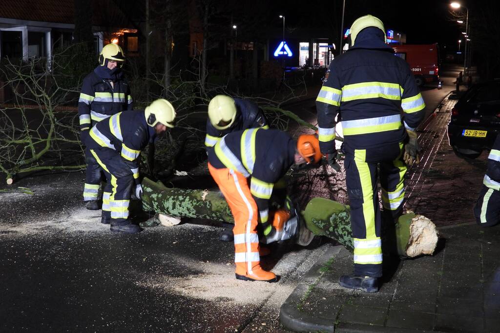 Omgewaaide boom valt op kabels met verlichting