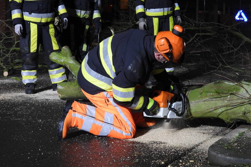 Omgewaaide boom valt op kabels met verlichting