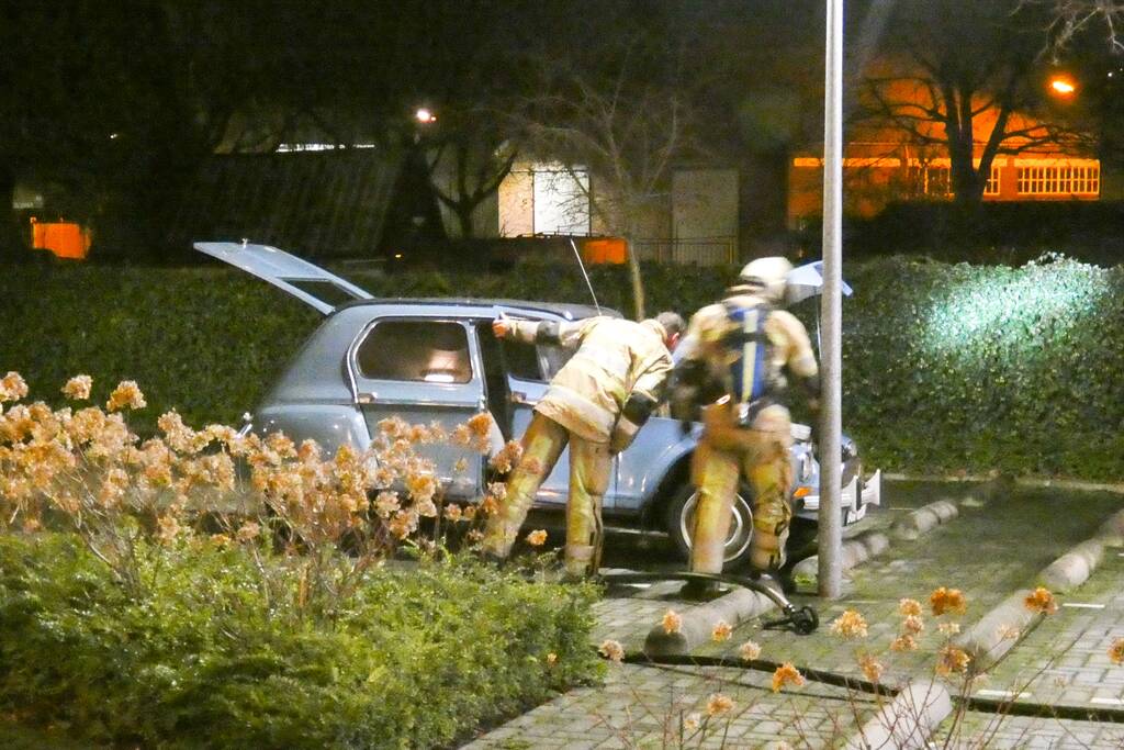 Lelijke eend staat te roken op parkeerplaats