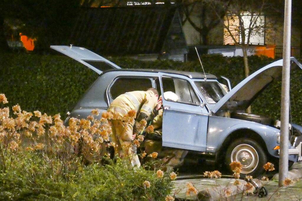 Lelijke eend staat te roken op parkeerplaats