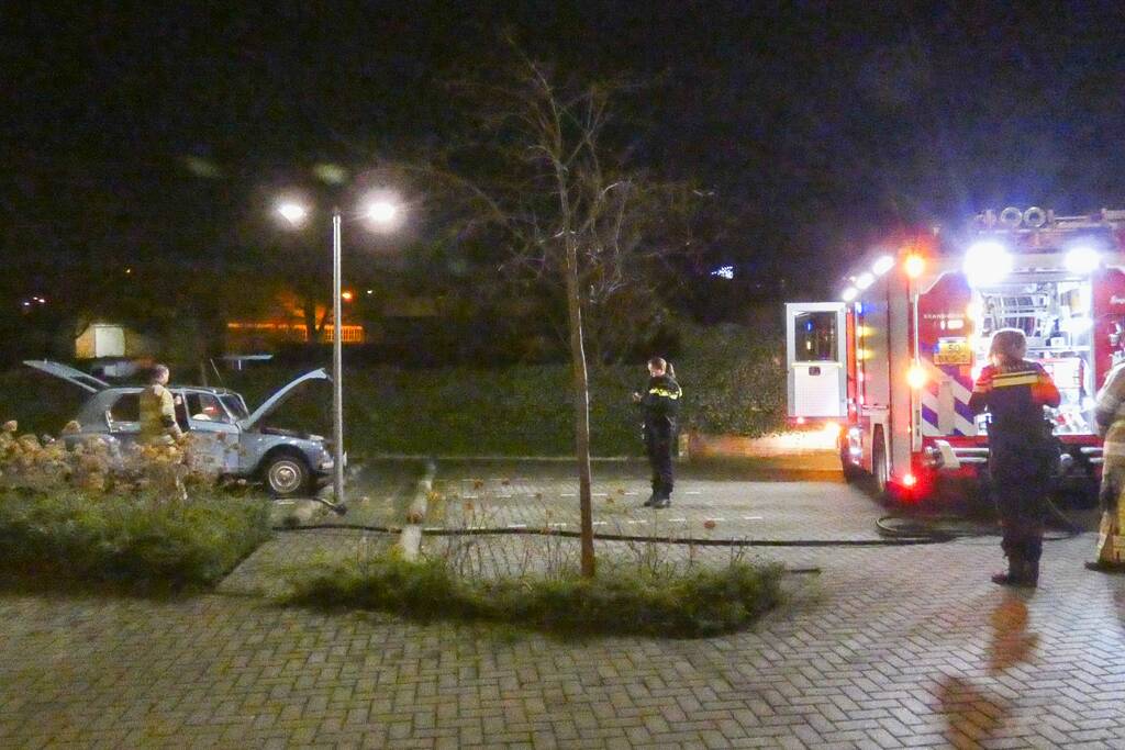 Lelijke eend staat te roken op parkeerplaats